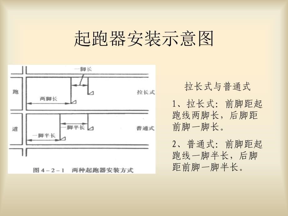 初中体育短距离跑技术简介课件_第5页