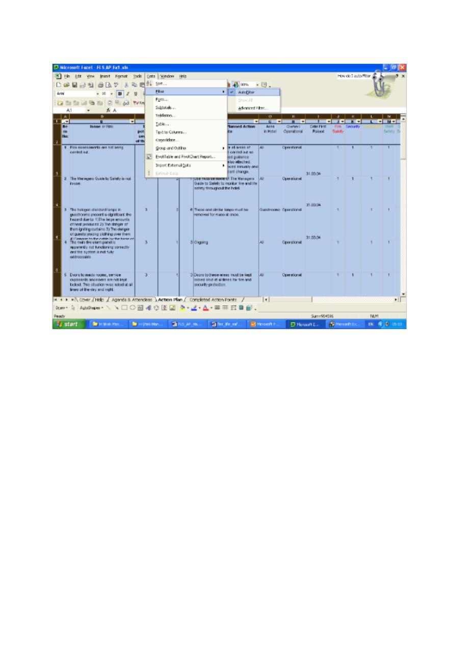 IHG酒店集团风险管理计划_第3页