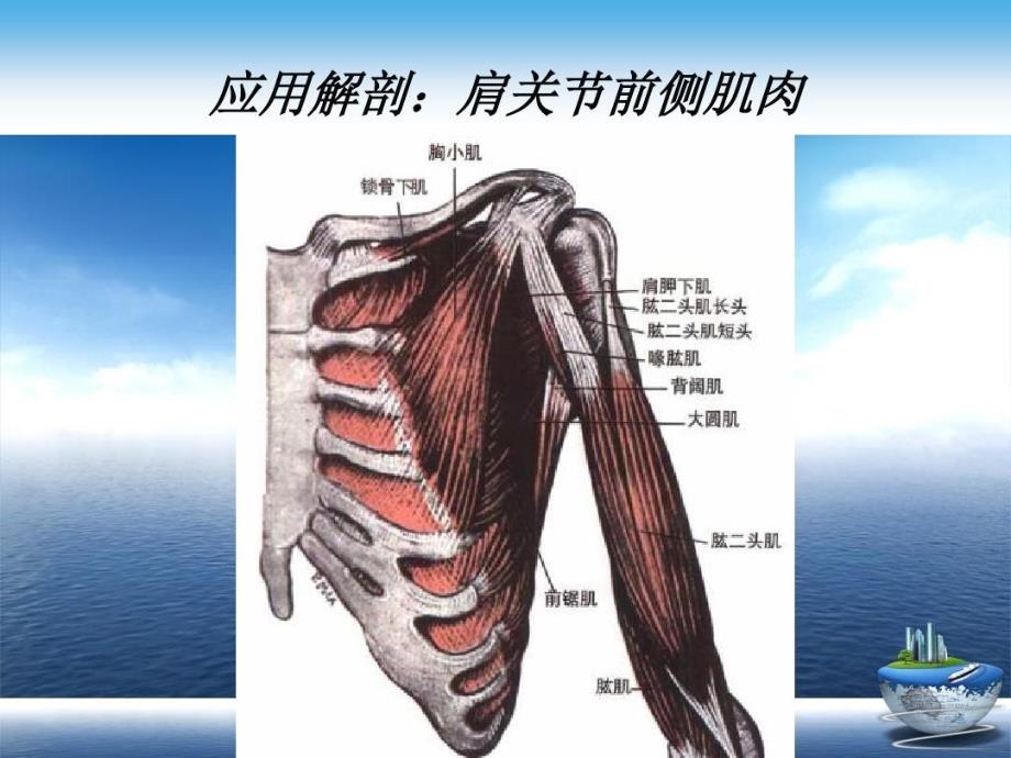 肩关节形针刀松解术治疗肩周炎演示文稿48页PPT课件_第4页