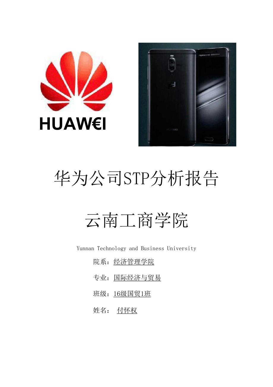 华为公司STP分析报告_第1页