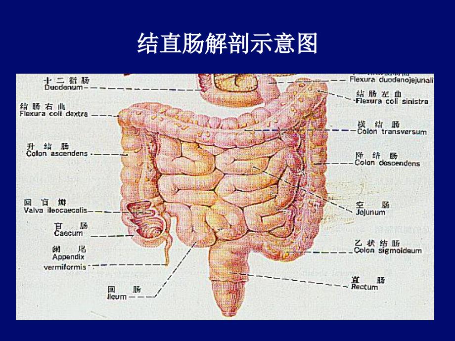 结直肠癌治疗现状课件_第2页