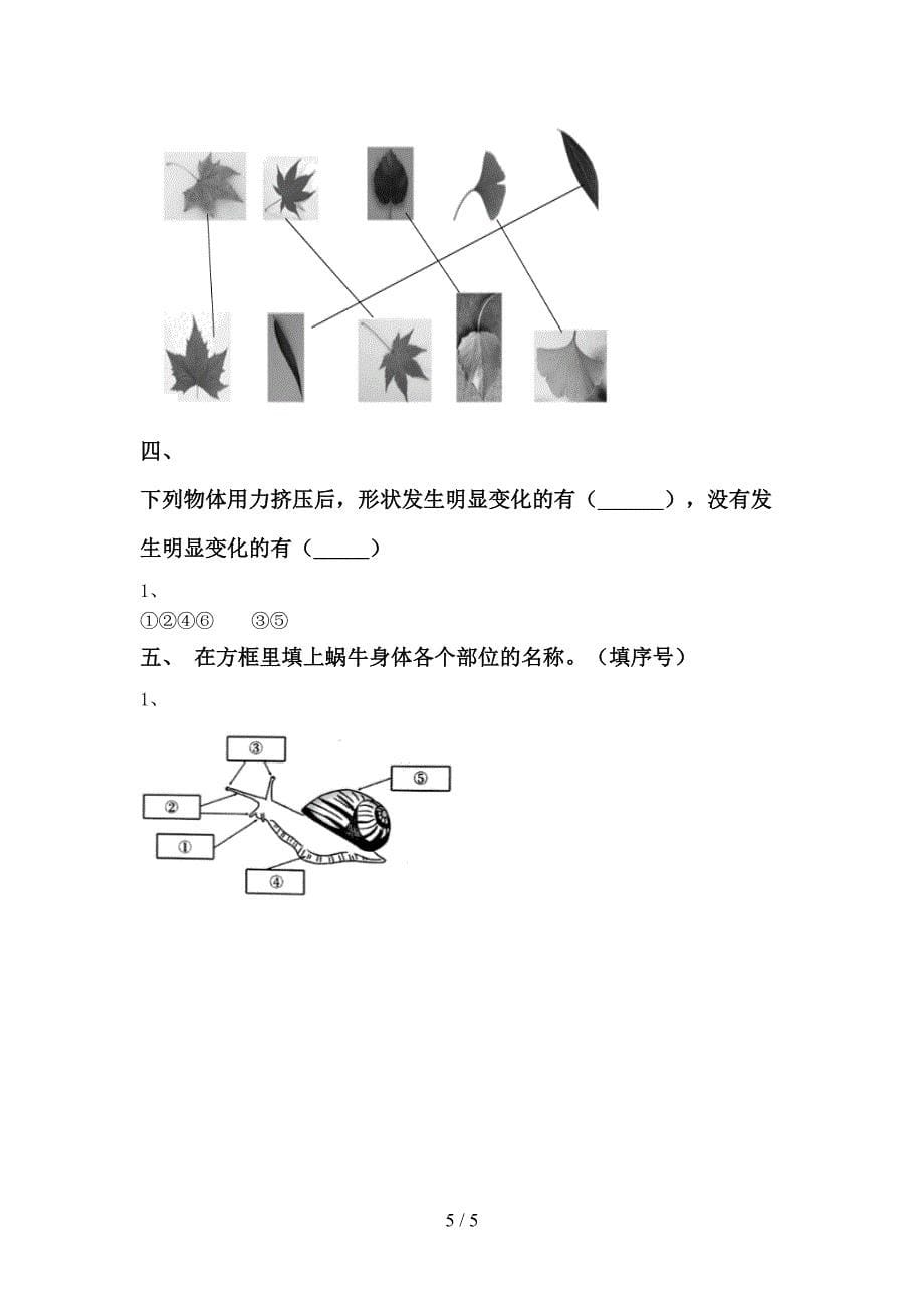 小学一年级科学(上册)期中试卷及答案(全面).doc_第5页