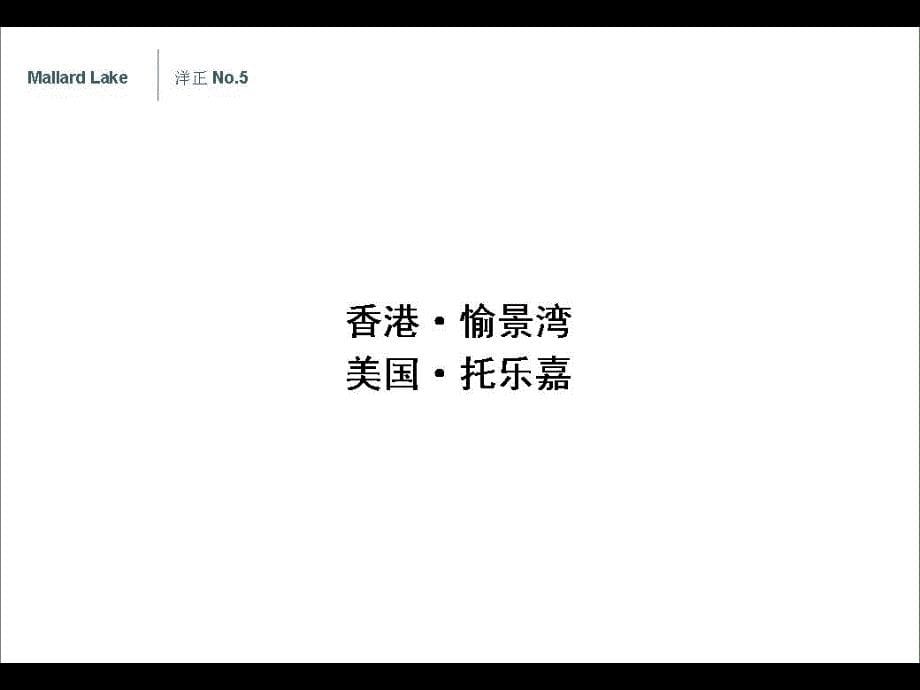 洋正广告—野鸭湖别墅项目价值重构提报jpg_第5页