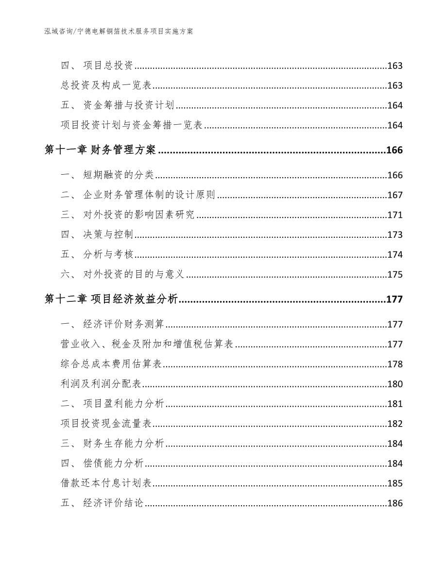 宁德电解铜箔技术服务项目实施方案【模板】_第5页