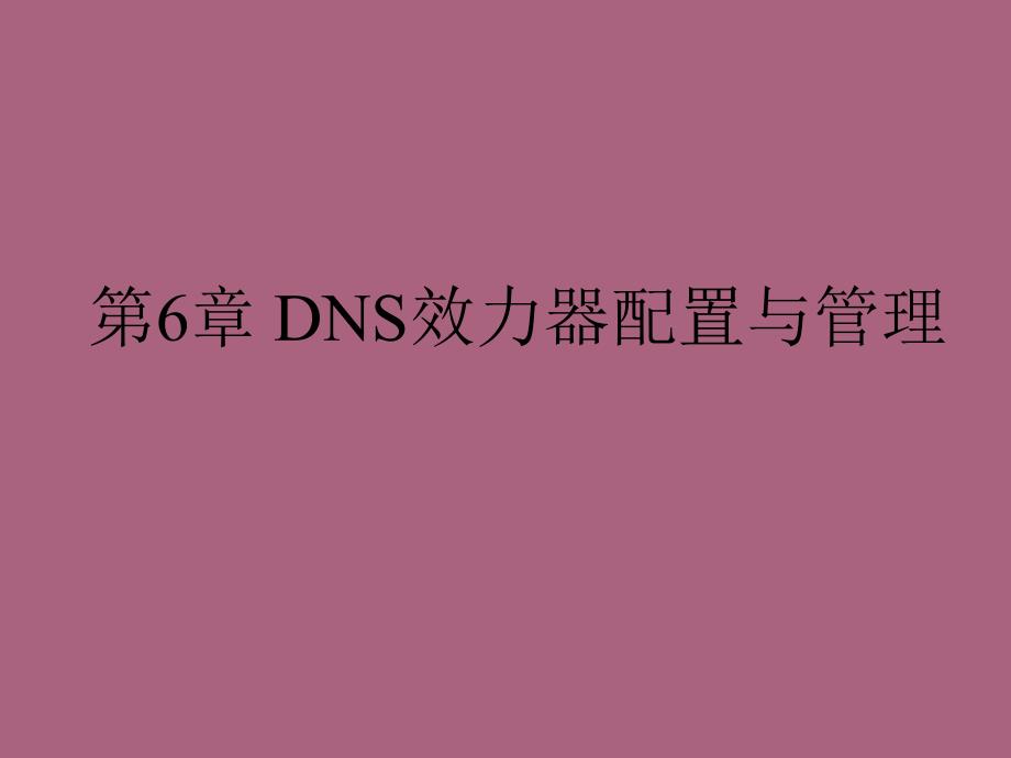 DNS服务器配置与管理ppt课件_第1页