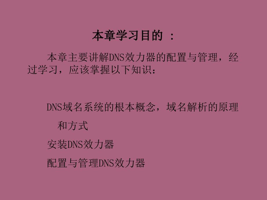 DNS服务器配置与管理ppt课件_第2页