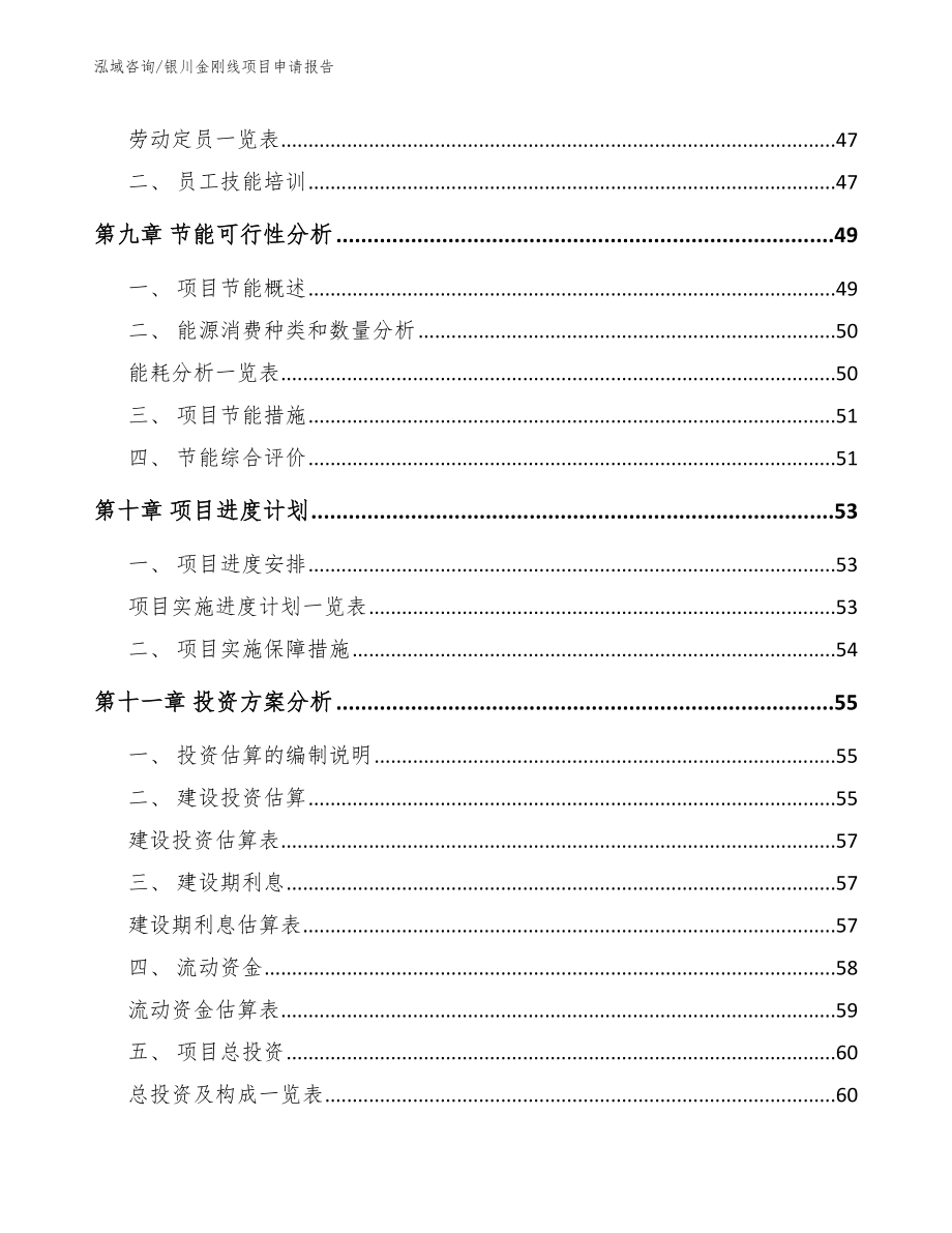 银川金刚线项目申请报告_第3页