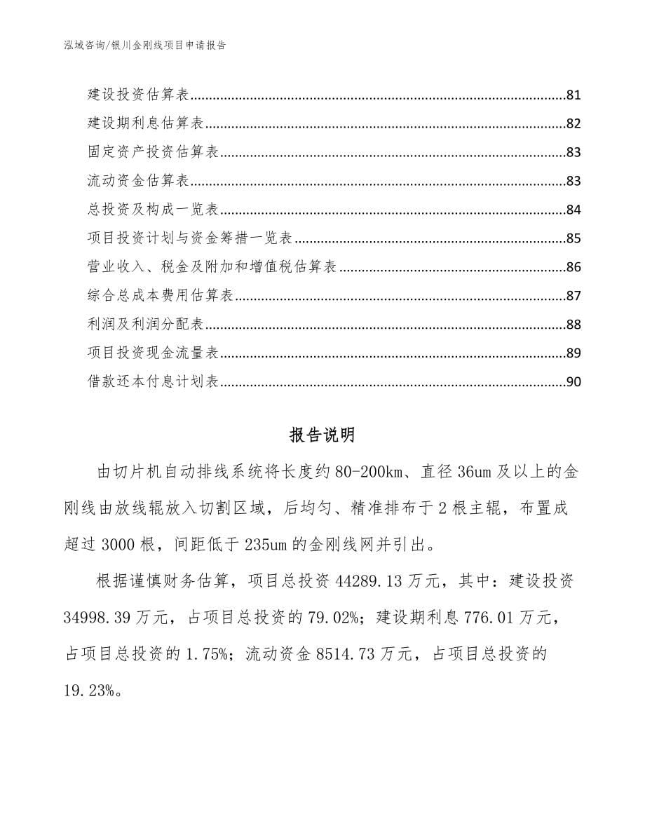 银川金刚线项目申请报告_第5页