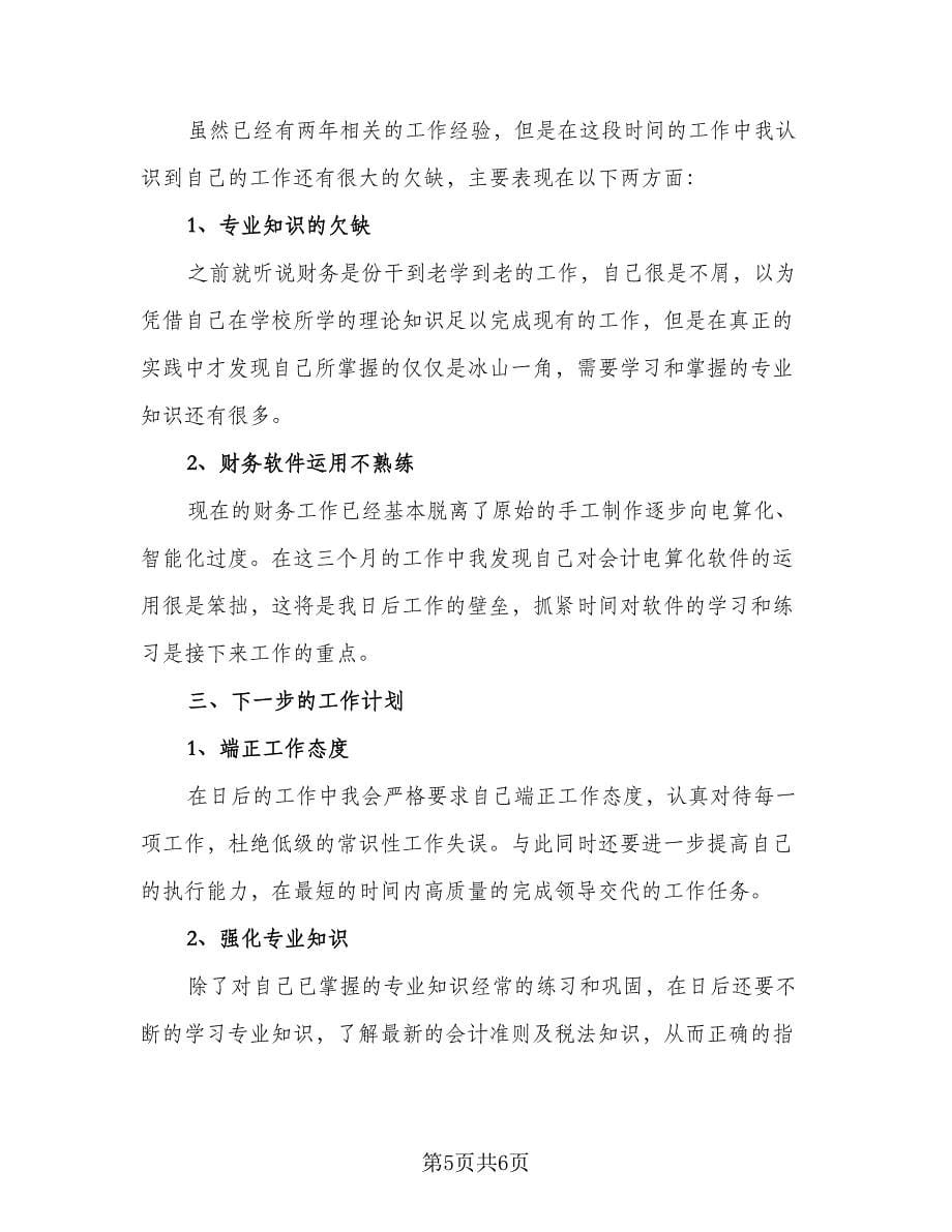 财务会计转正的工作总结范文（三篇）.doc_第5页