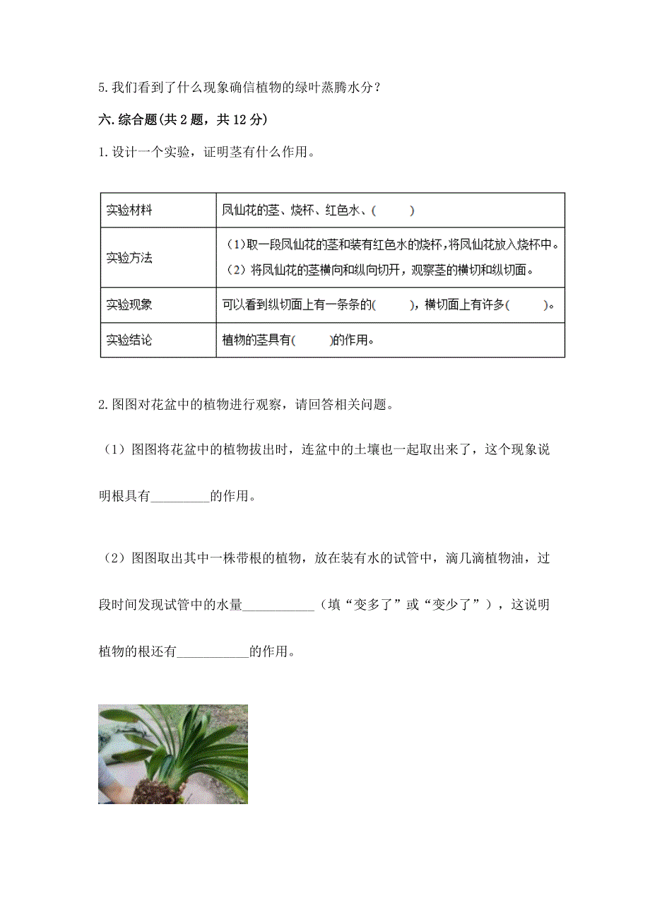 教科版科学四年级下册第一单元-植物的生长变化-测试卷精品【易错题】.docx_第3页