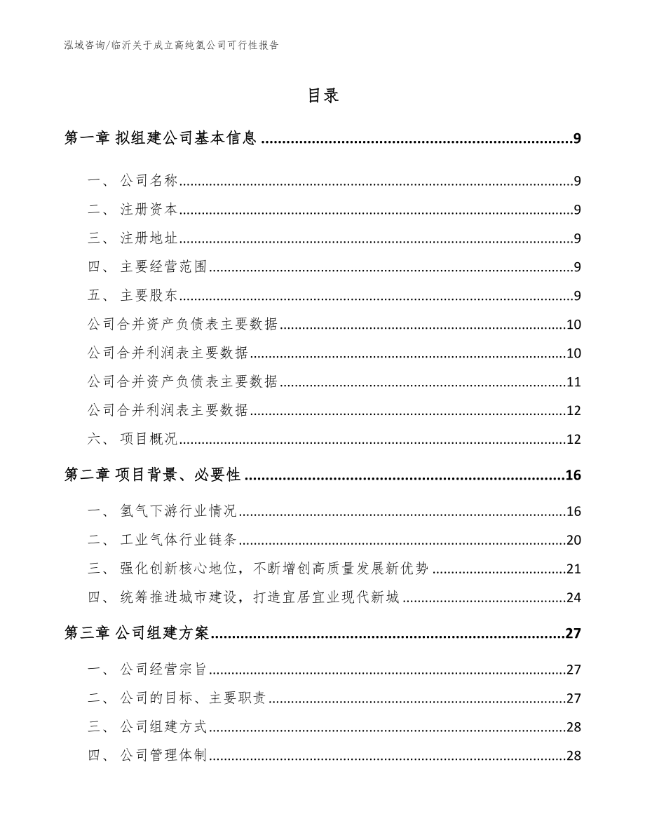 临沂关于成立高纯氢公司可行性报告模板参考_第2页