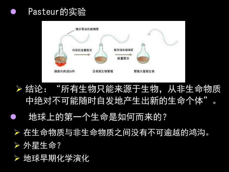 生物的起源与进化_第5页