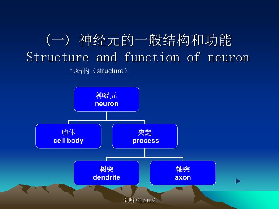 宝典神经心理学课件_第2页