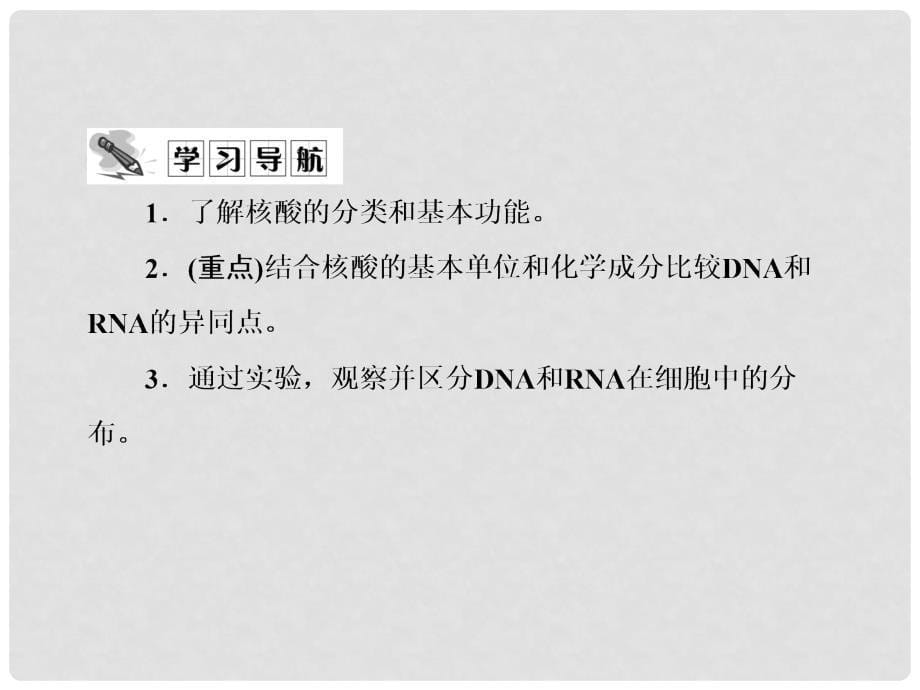 高中生物 2.3遗传信息的携带者核酸课件 新人教版必修1_第5页