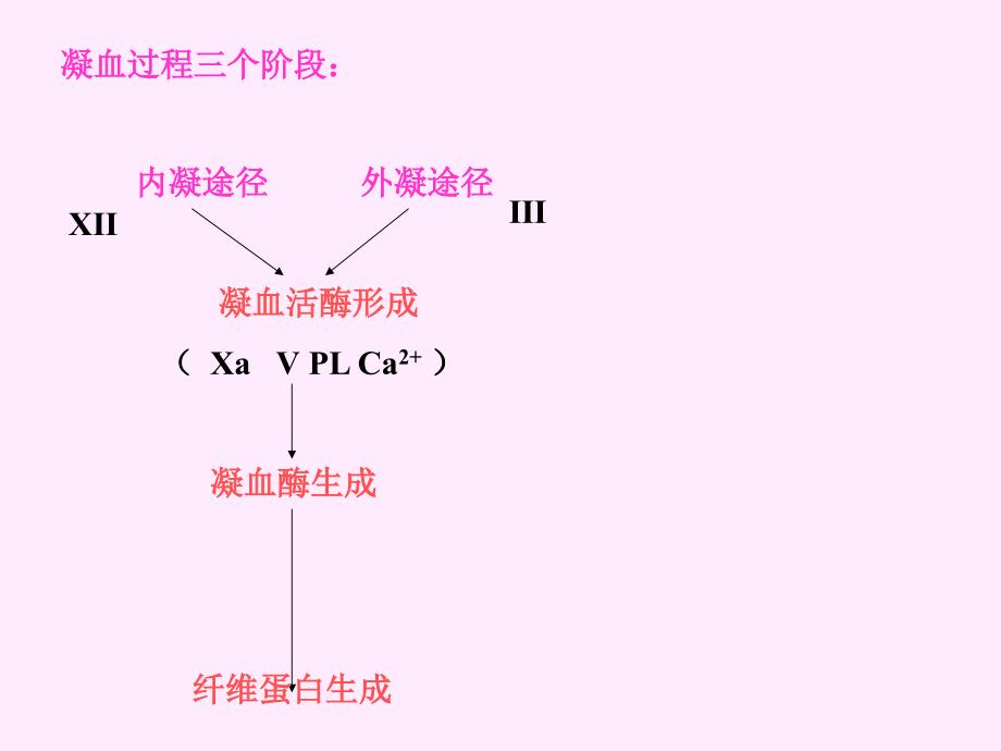 最新第十二章弥散性血管内凝血PPT文档_第2页