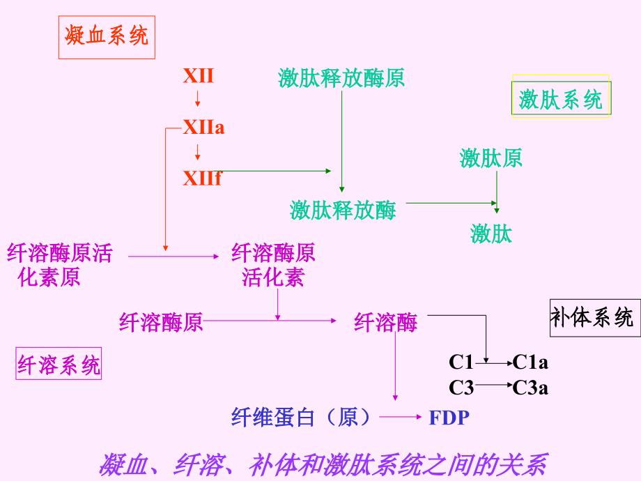 最新第十二章弥散性血管内凝血PPT文档_第3页