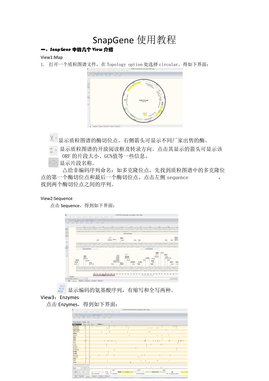 SnapGene中文使用教程_第1页