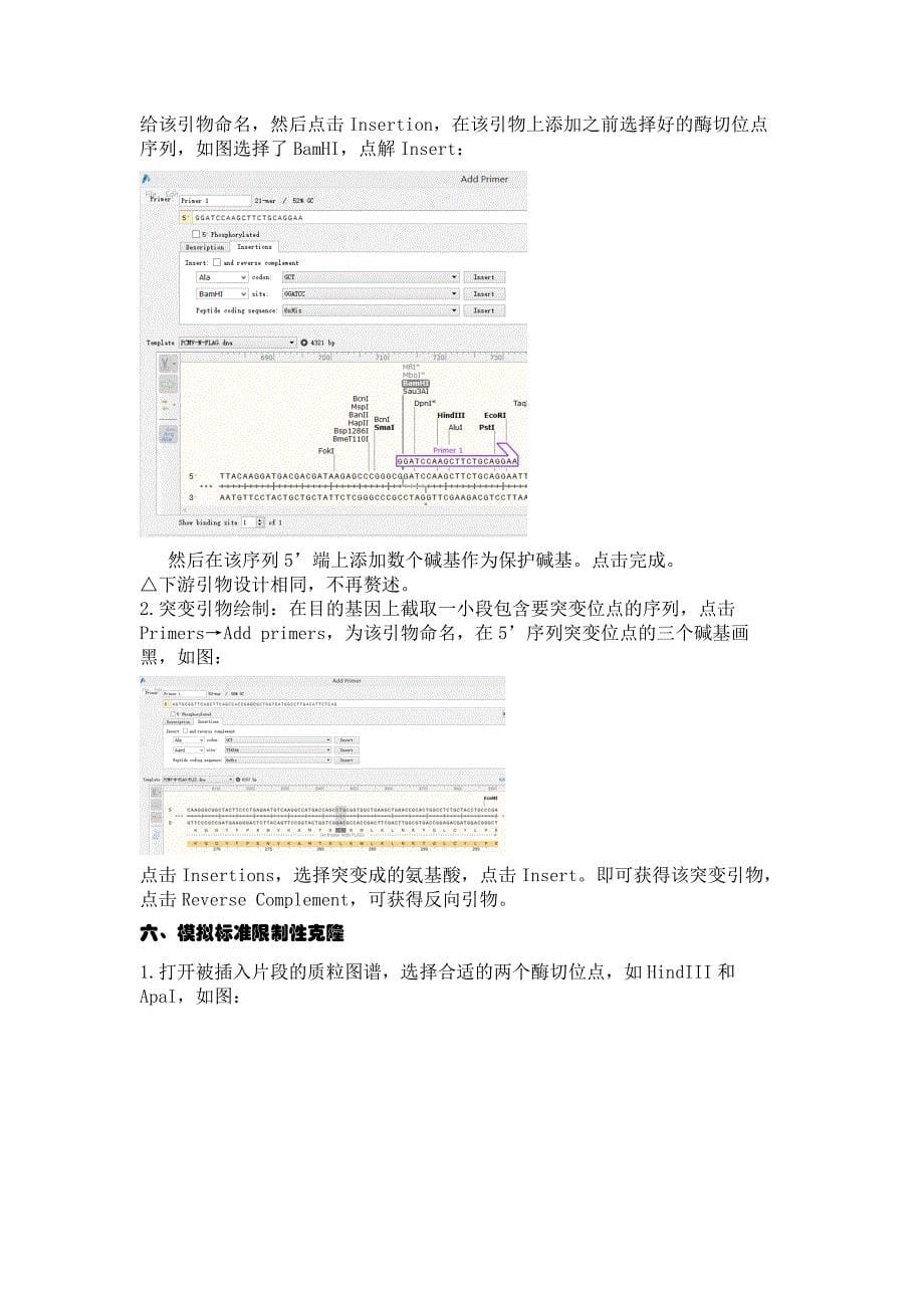 SnapGene中文使用教程_第5页