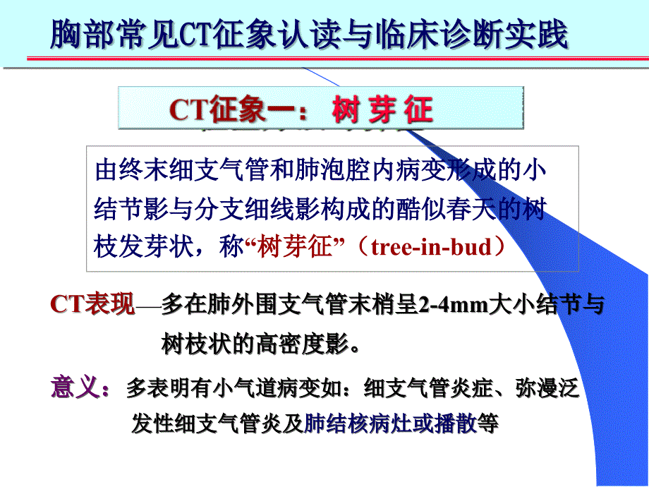 肺部CT十大征象诊断应用ppt课件_第3页