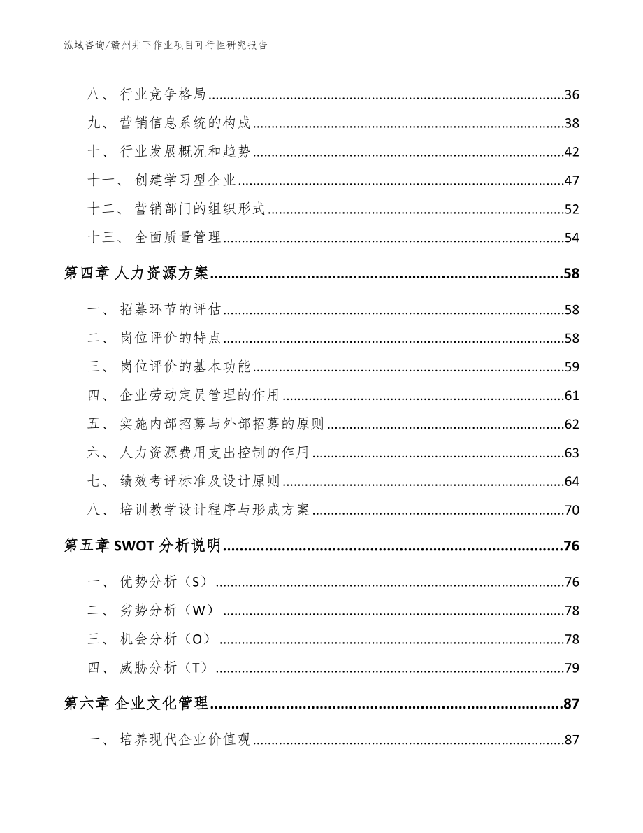 赣州井下作业项目可行性研究报告【范文】_第2页