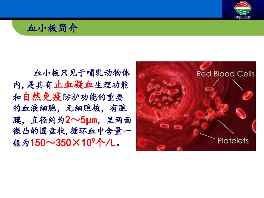 血小板抗体检测临床应用(妇产科篇1107版)_第4页