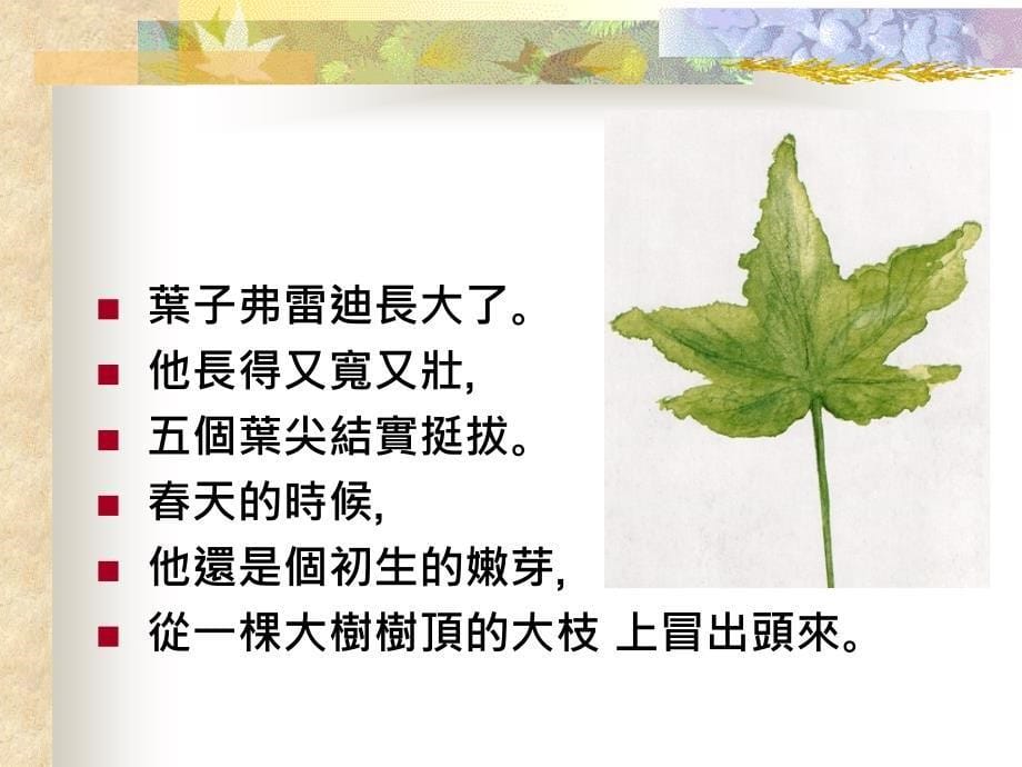 （绘本）一片叶子落下来_第5页