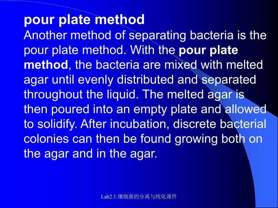 Lab2土壤细菌的分离与纯化课件_第4页