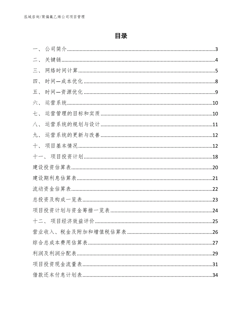 聚偏氟乙烯公司项目管理方案_第2页