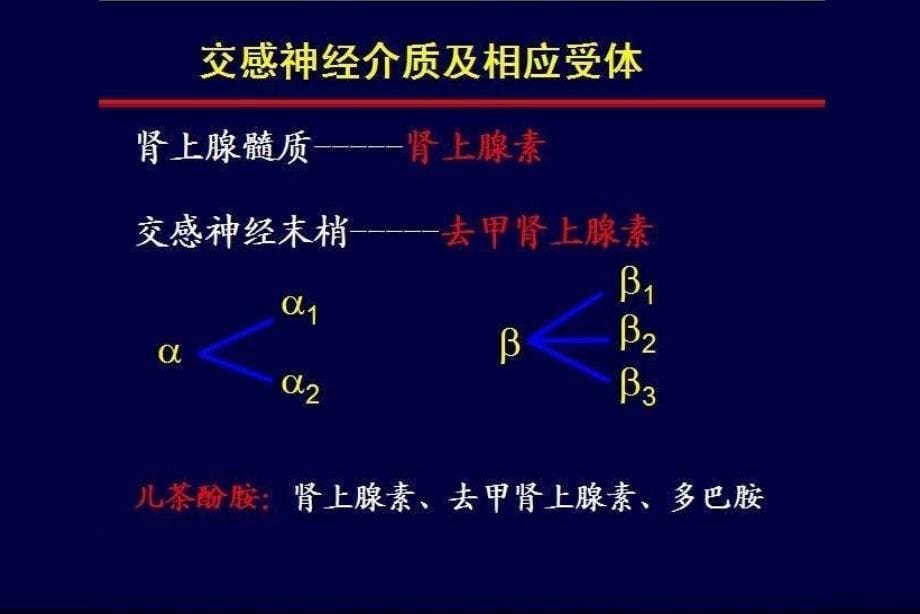 受体阻滞剂与受体阻滞剂在高血压治疗中的作用_第5页