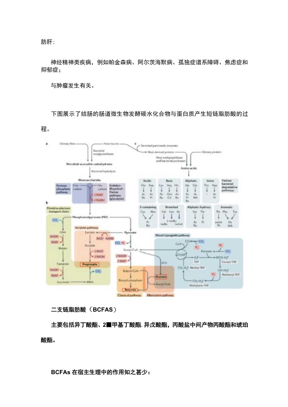 2023肠道菌群代谢物在多领域中的介导作用_第3页