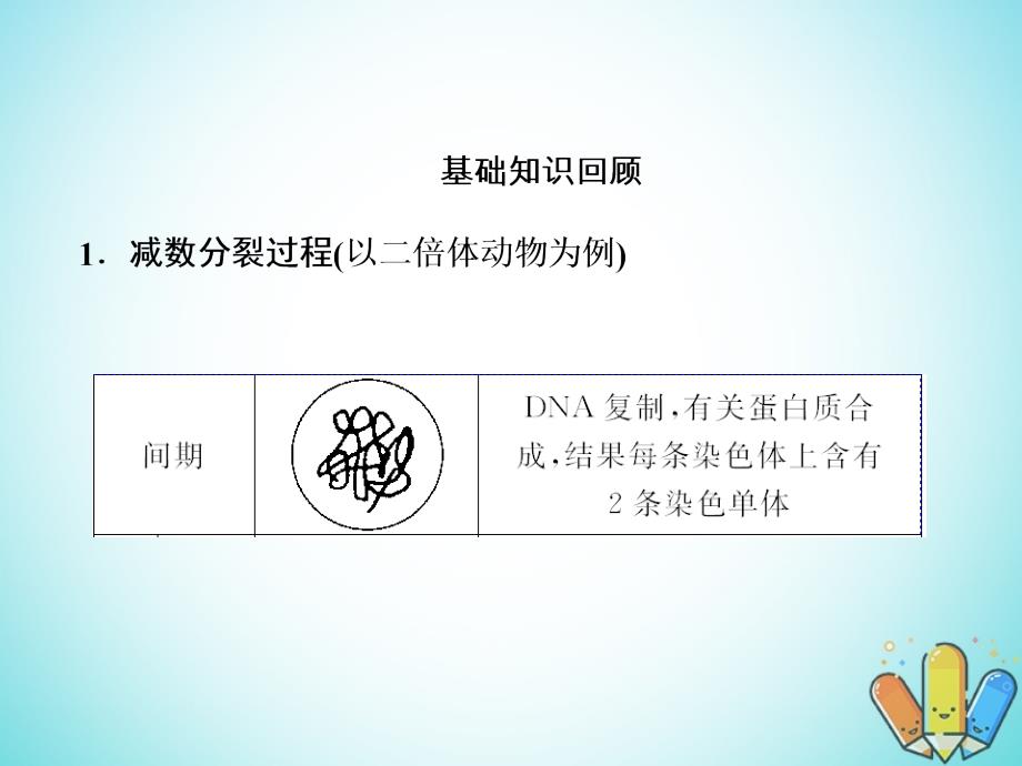 2019高考生物总复习 精彩三十三天（十）细胞的生命历程2课件_第2页