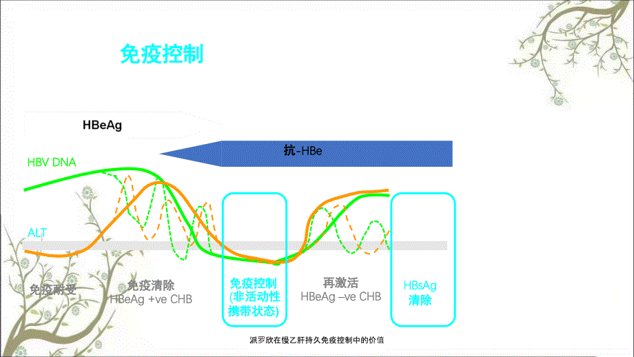 派罗欣在慢乙肝持久免疫控制中的价值_第4页