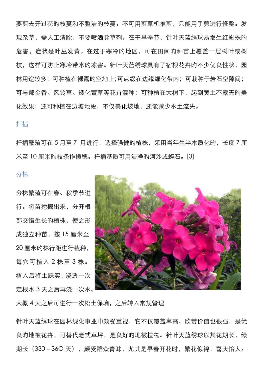 丛生福禄考育苗多少钱丛生福禄考种植方法说明_第3页