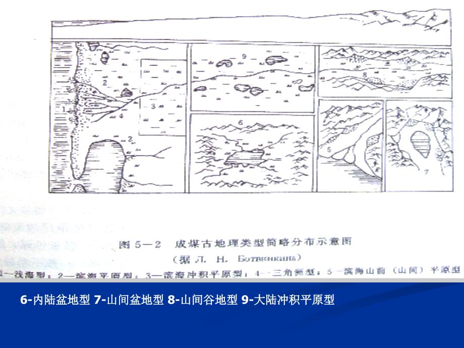 第五章煤与含煤岩系_第4页