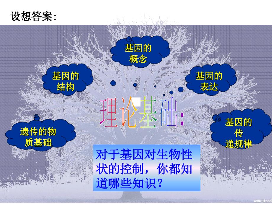 头脑风暴在我们生活中你了解多少生物工程制品_第4页