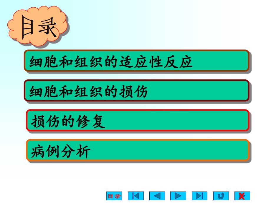 《适应、损伤与修复》PPT课件_第2页