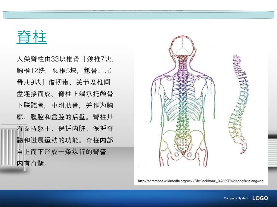 胸12椎体压缩性骨折_第3页