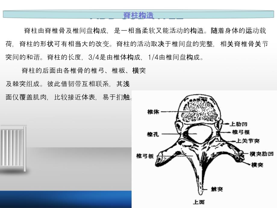 胸12椎体压缩性骨折_第5页