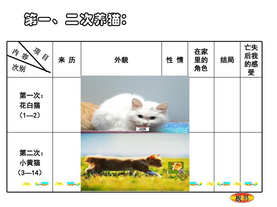 七年级语文下册猫教案人教版_第4页