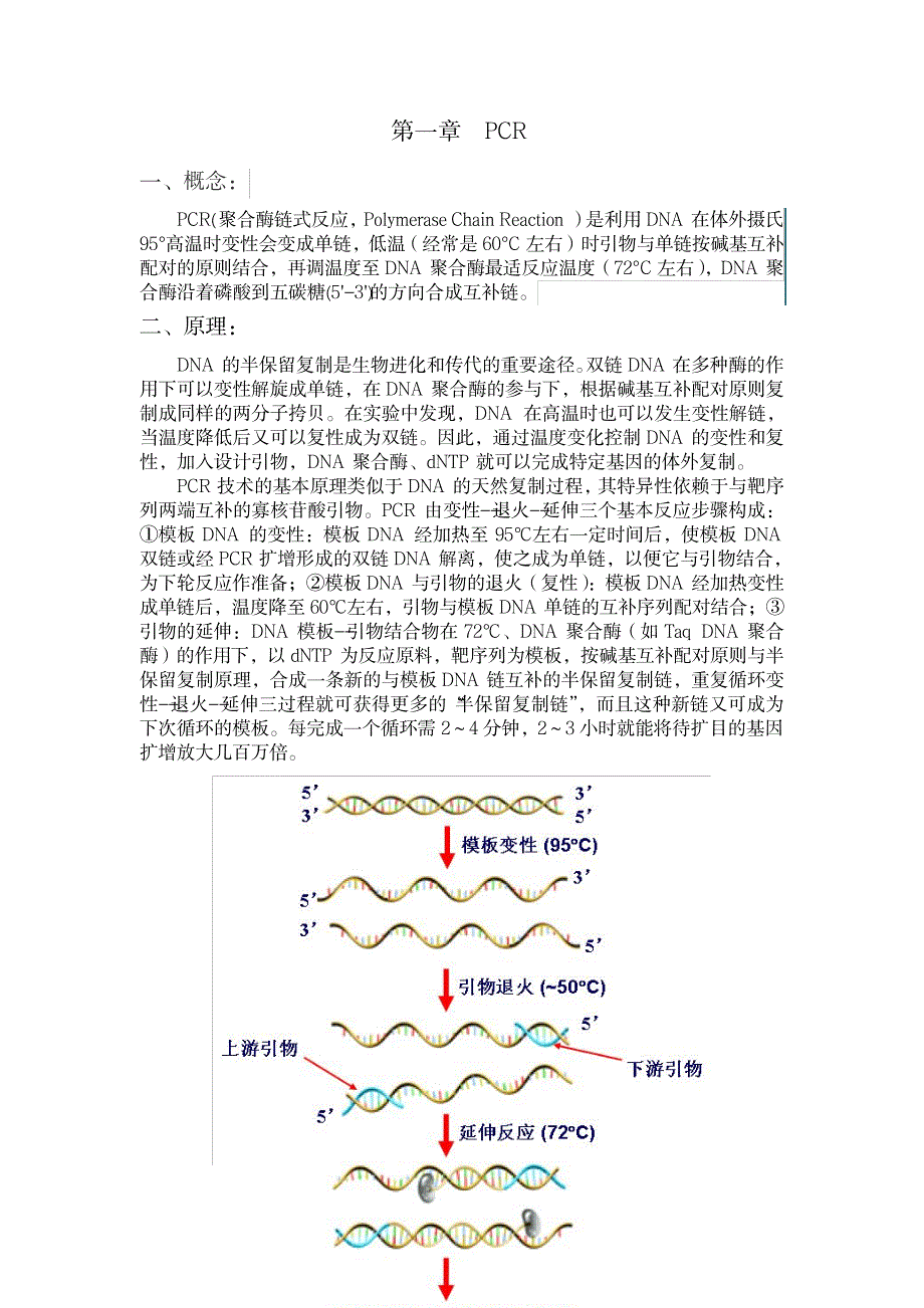 2023年分子生物学基础知识1_第2页