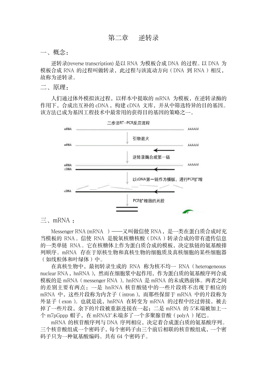 2023年分子生物学基础知识1_第4页