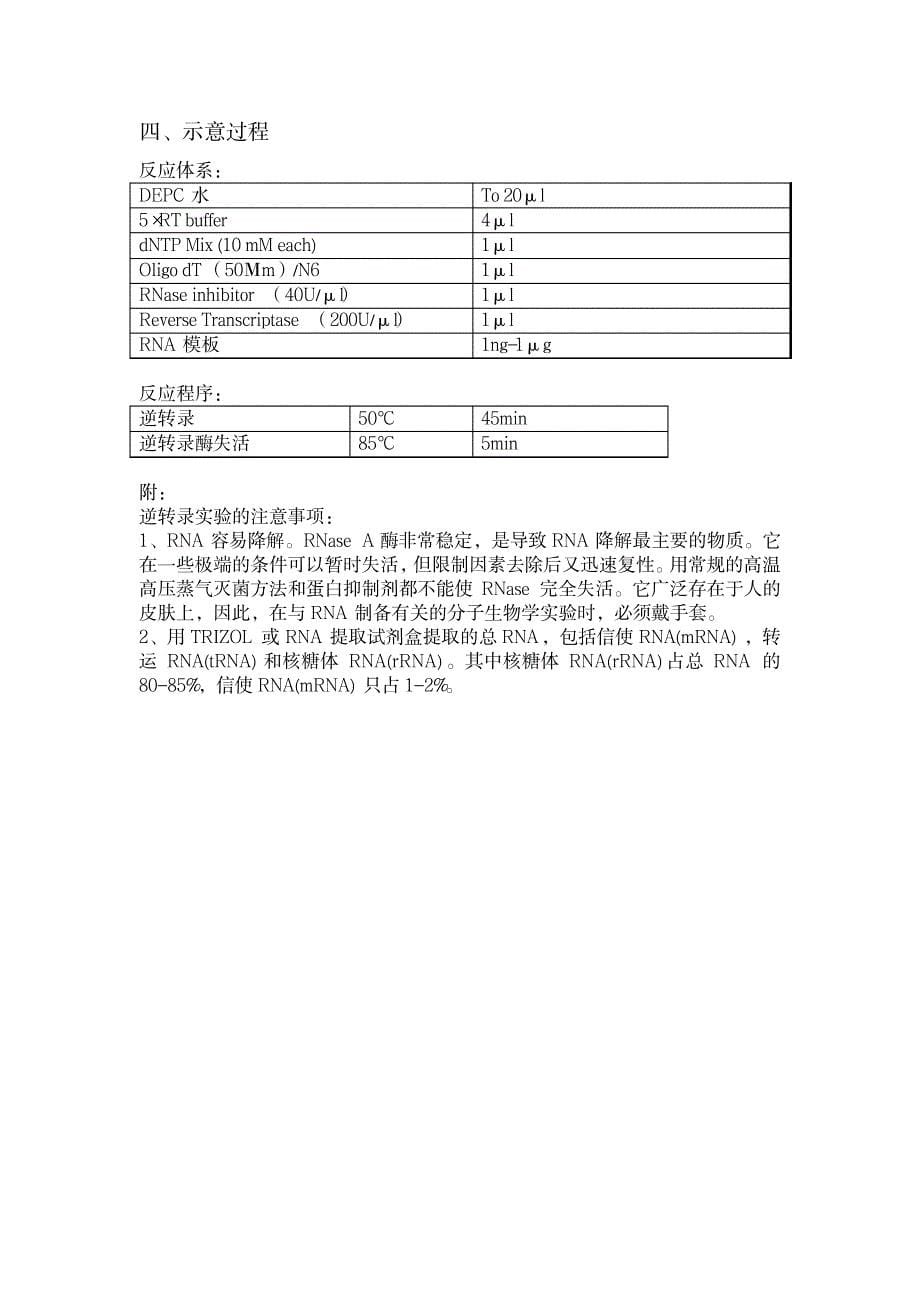 2023年分子生物学基础知识1_第5页