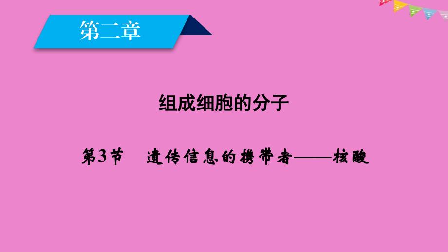 高中生物必修1课件： 第二章 组成细胞的分子 第3节 遗传信息的携带者——核酸课件 新人教版必修1_第2页