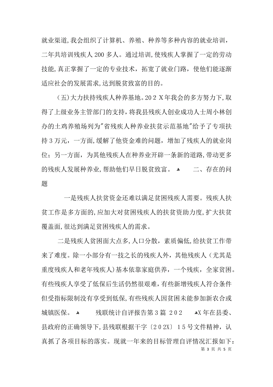 残联统计自评报告3篇_第3页