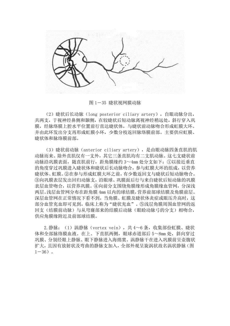 第四节 眼部血液供给及神经支配.doc_第3页