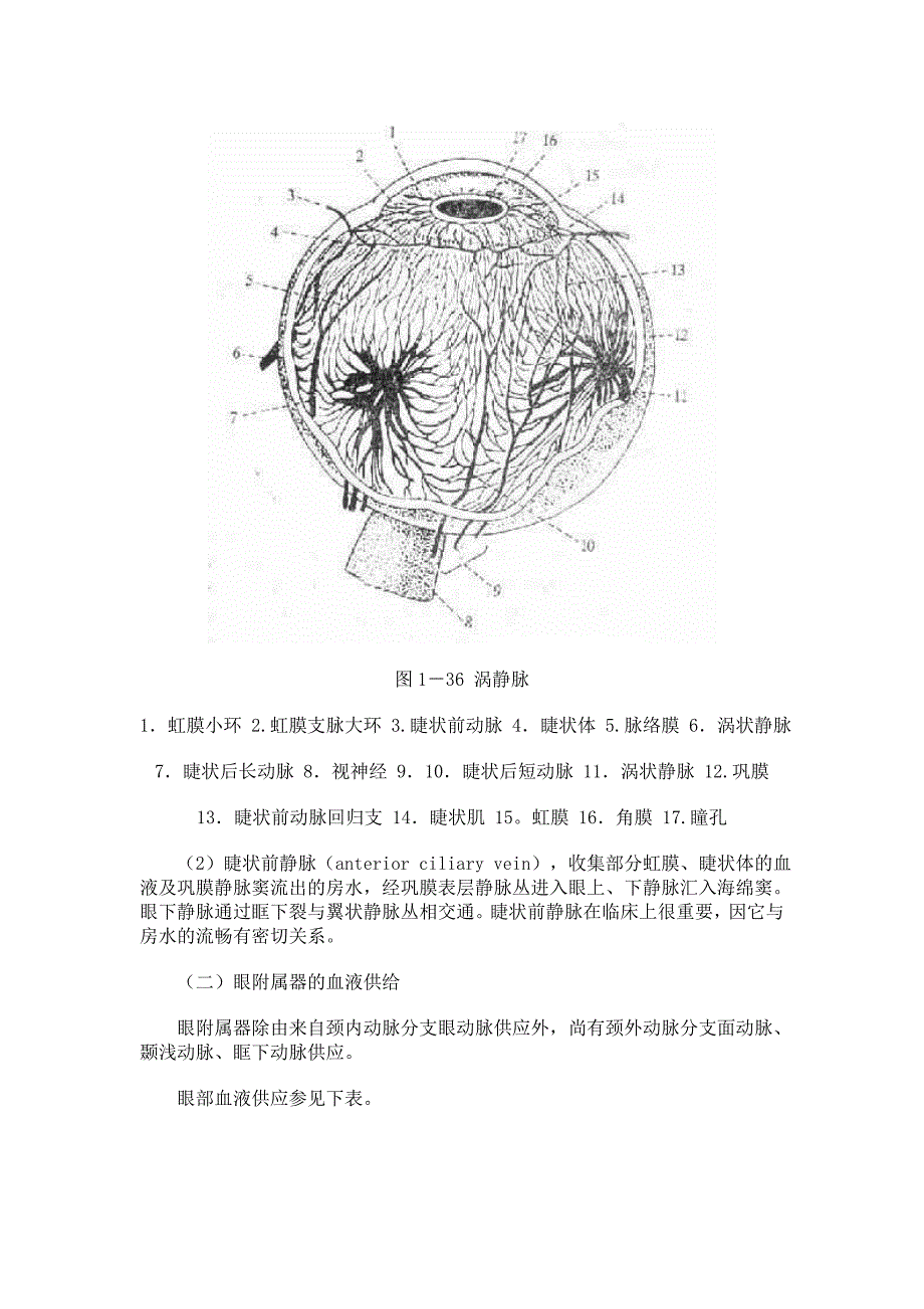 第四节 眼部血液供给及神经支配.doc_第4页