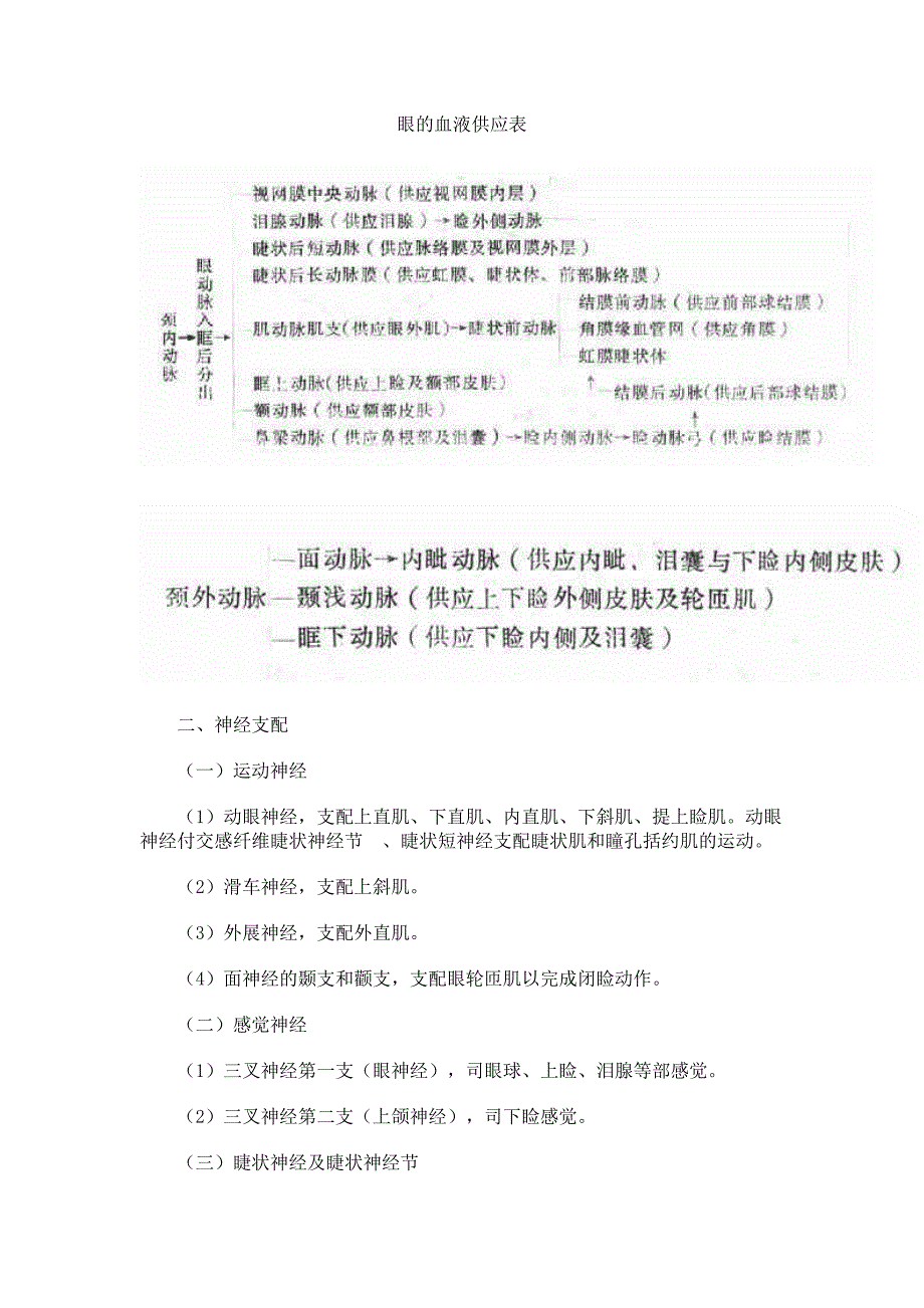 第四节 眼部血液供给及神经支配.doc_第5页