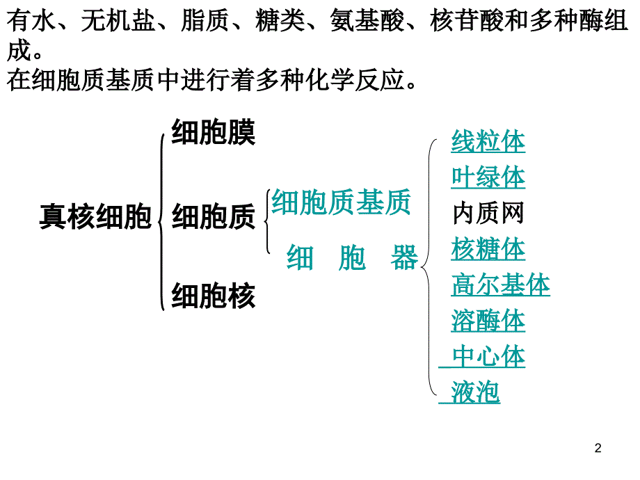 细胞器细胞内的分工合作1_第2页