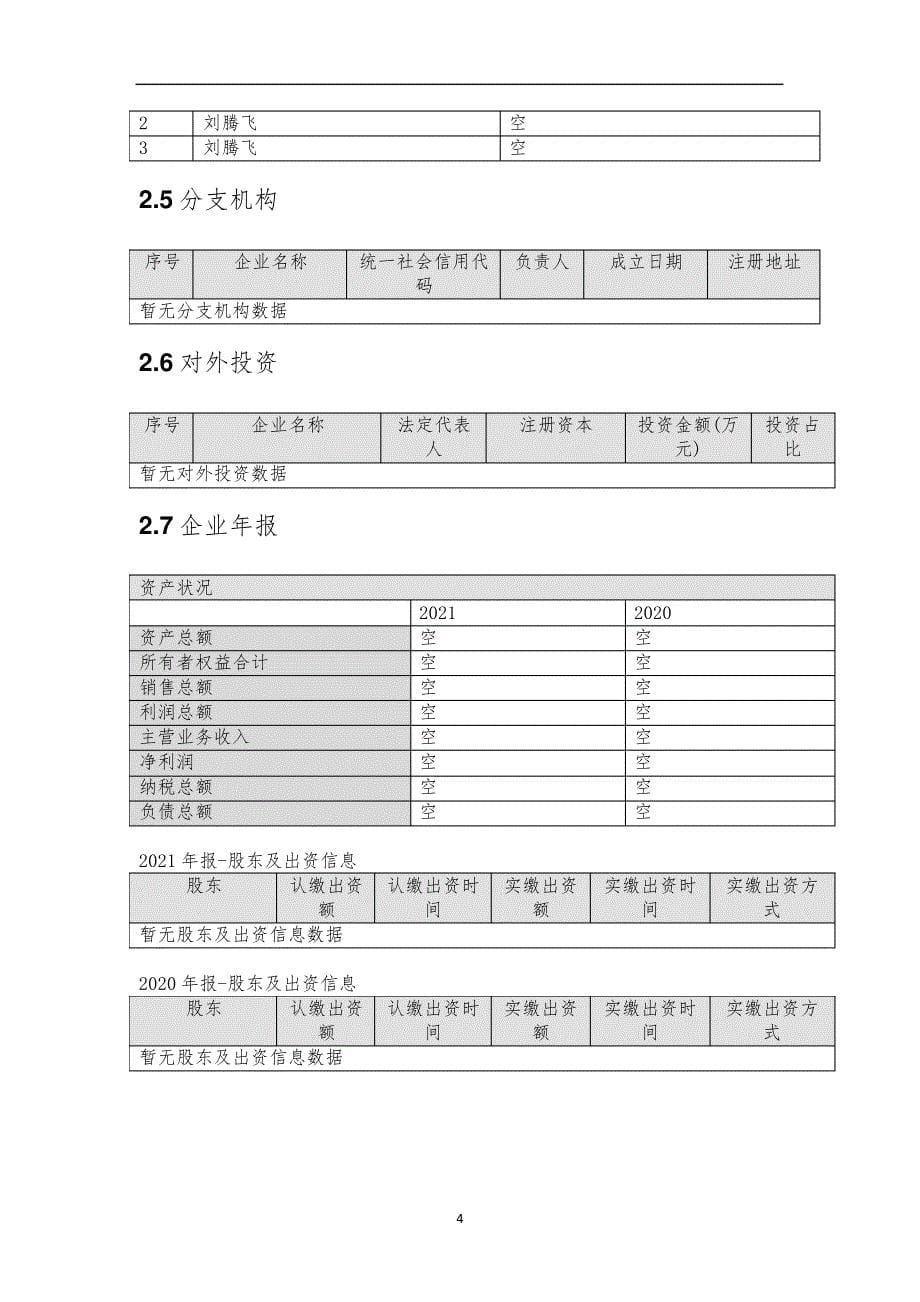 深圳市盛荣信息科技有限公司介绍企业发展分析报告_第5页