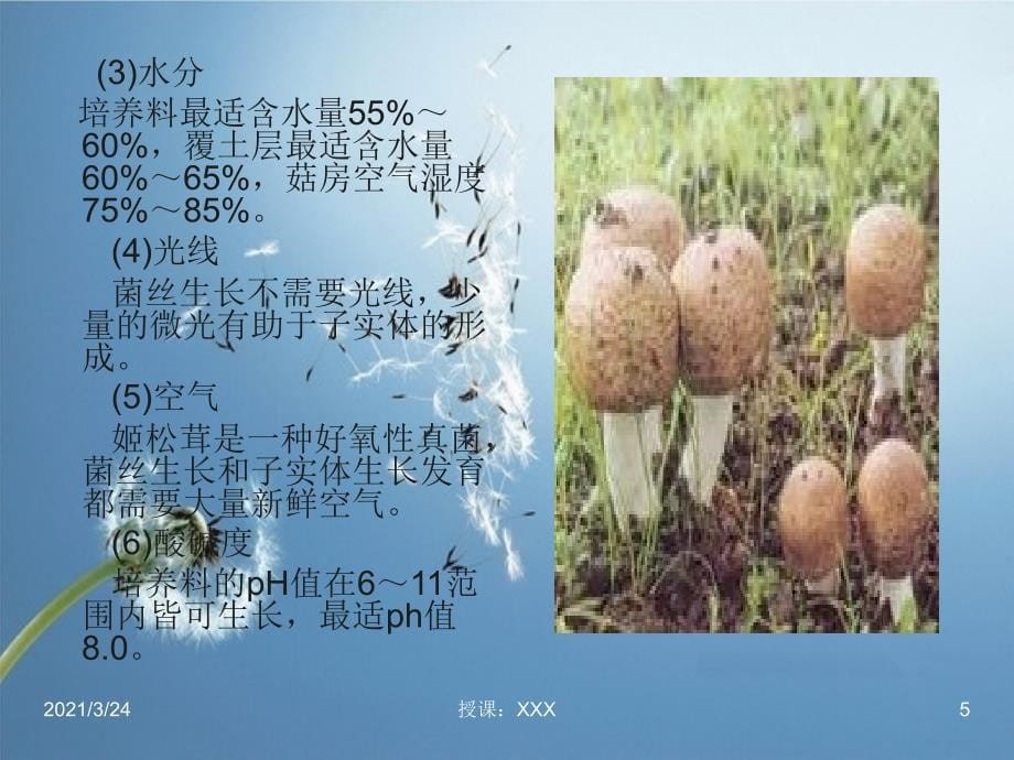 姬松茸的栽培技术PPT课件_第5页